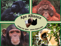 Ape Alliance